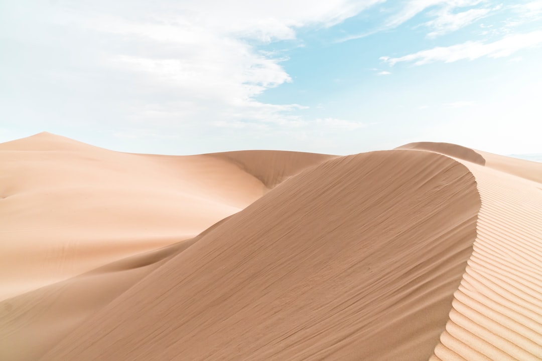 Photo Scorpion, desert